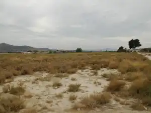 Terreny rústic en venda a Partida Sol del Camp, imagen 10