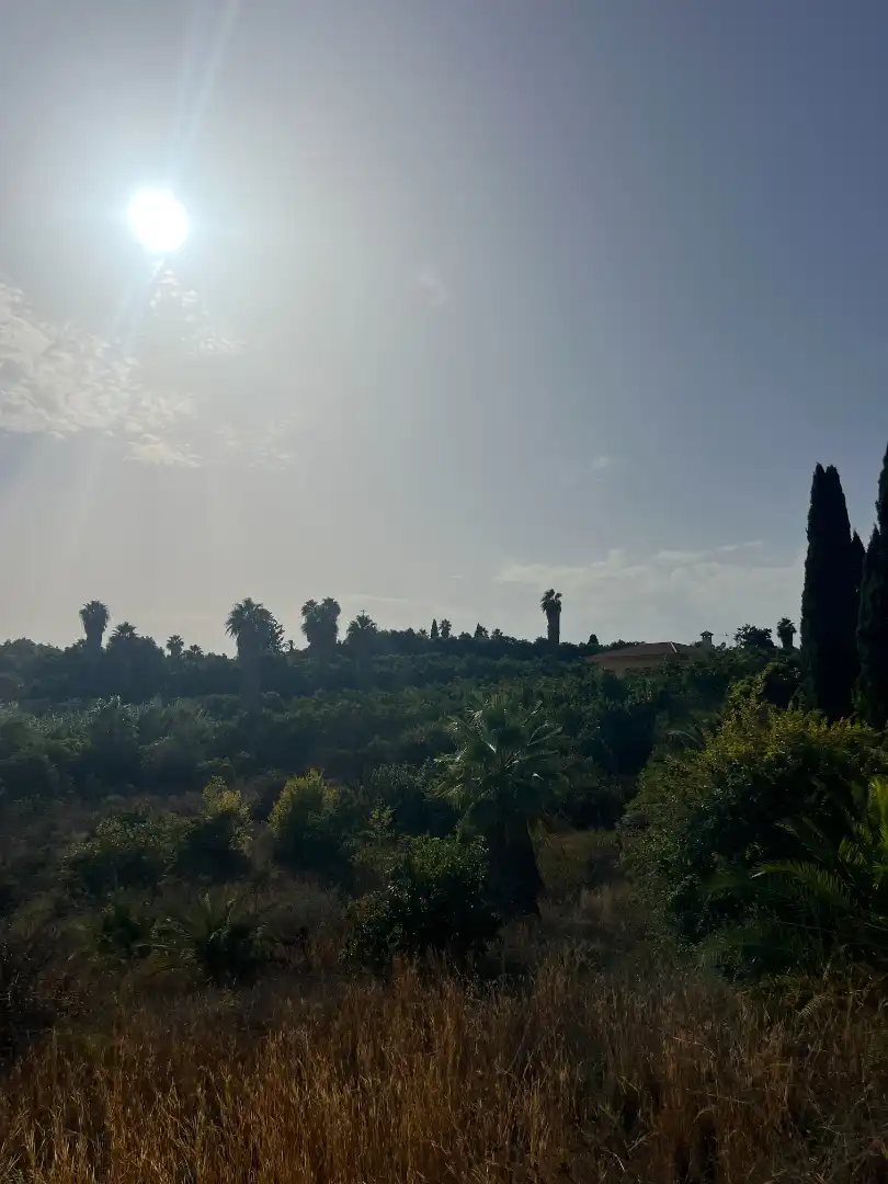 Residential land for sale in Calle Estornino 45, imagen 6