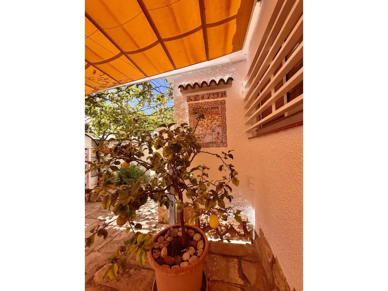 Jardí de Casa o xalet en venda en Mont-roig del Camp amb Aire condicionat, Calefacció i Jardí privat
