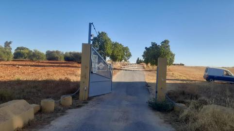 Foto 3 de Finca rústica en venda a Aznalcázar, Sevilla