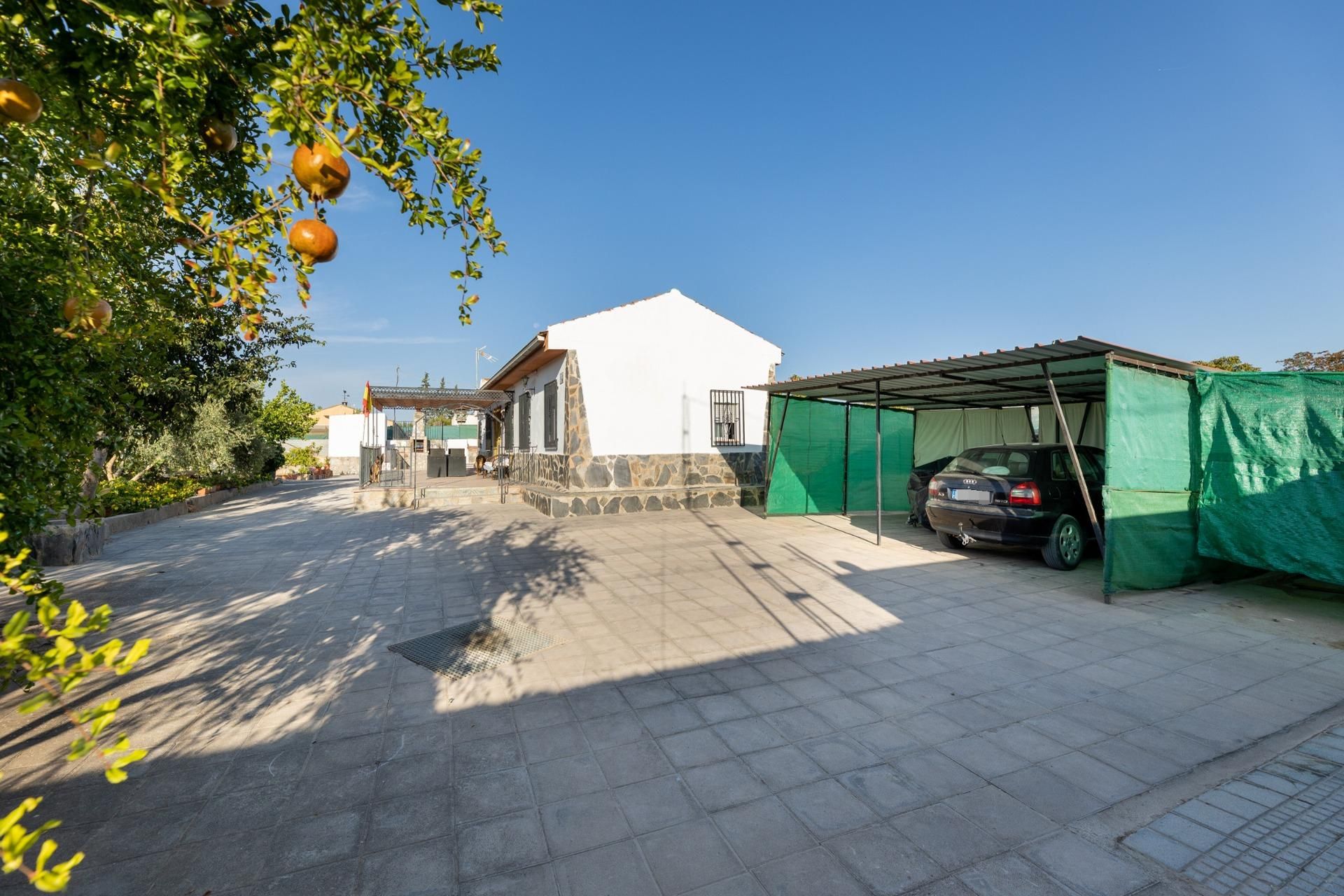 Vista exterior de Finca rústica en venta en Moraleda de Zafayona con Jardín privado, Terraza y Piscina