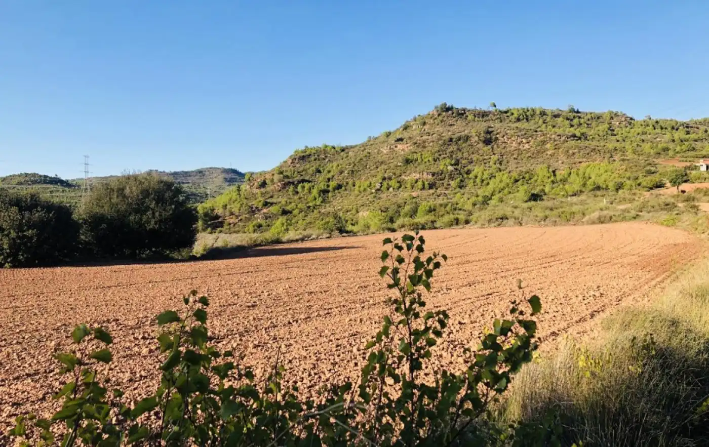 Finca rústica en venta en Camino Vall de Maria, Sant Llorenç Savall