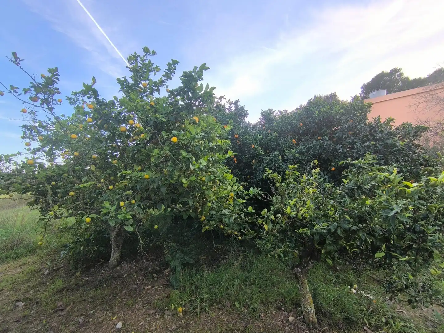 Country homes for sale in Sant Joan  with Air Conditioner, Private garden and Terrace