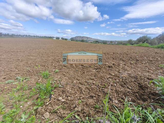 Terreno en Venta en Centro