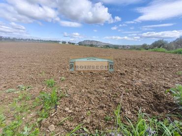 Terreno rustico in vendita a Centro
