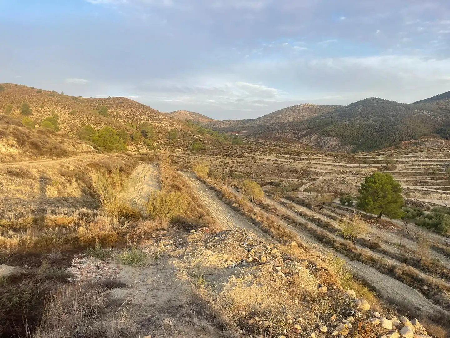 Terreny en venda en Vélez-Blanco