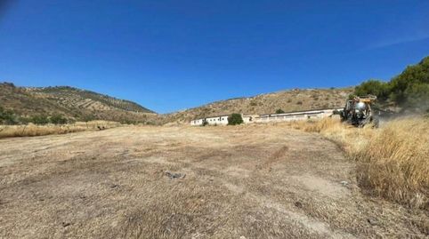 Foto 3 de Terreno en venta en Huelma, Jaén