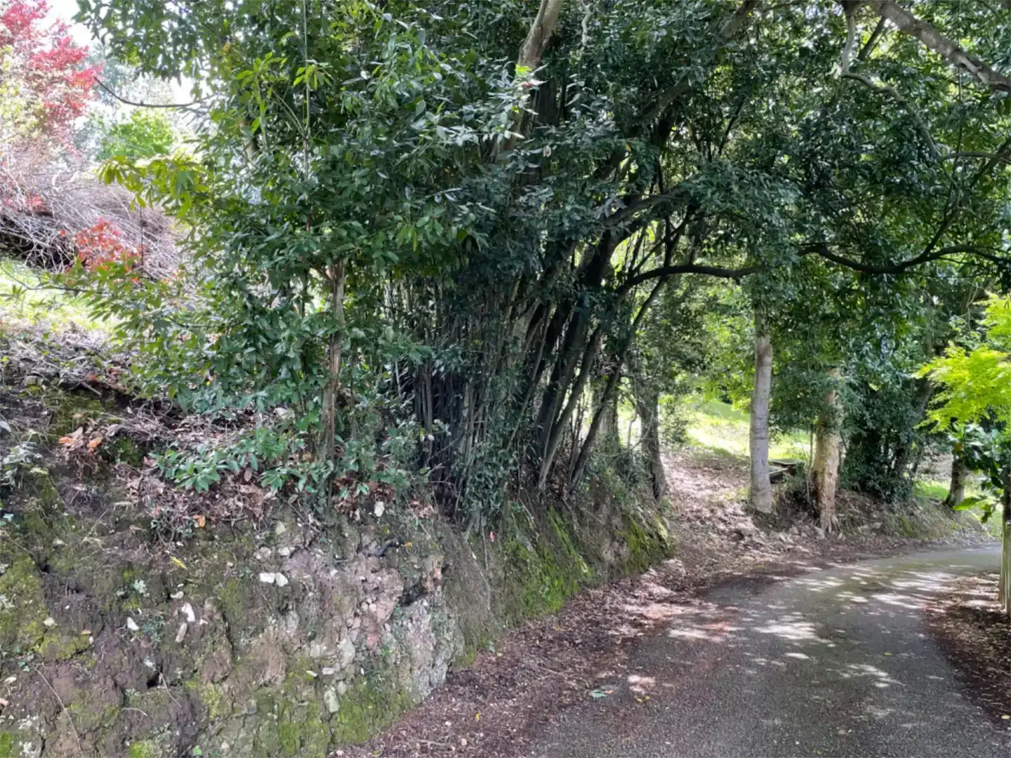 Residencial en venta en Medio Cudeyo