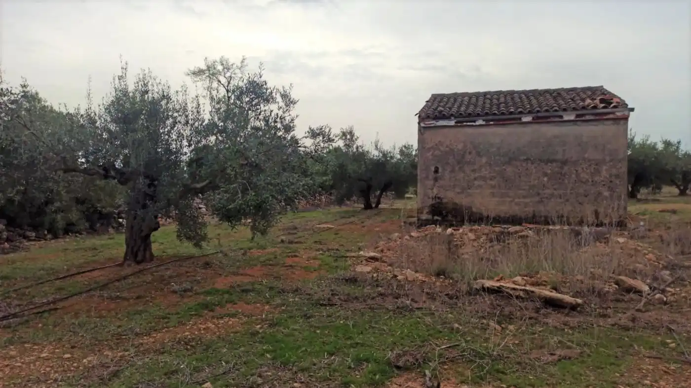 Rustikales Grundstück zum Verkauf in poligono 3 parcela 235, imagen 6