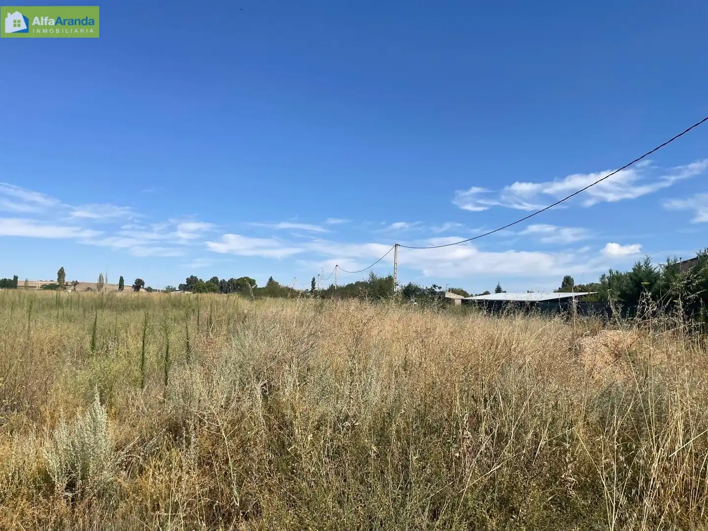 Terreno rústico en venta en Zona Rural, imagen 4