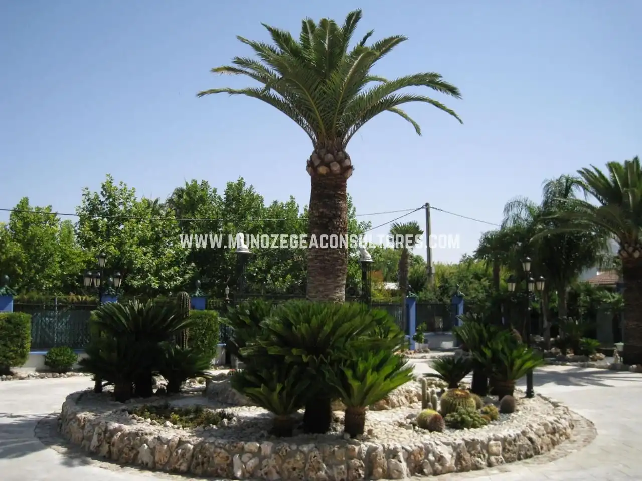 House with pool for sale in Cabra, imagen 20