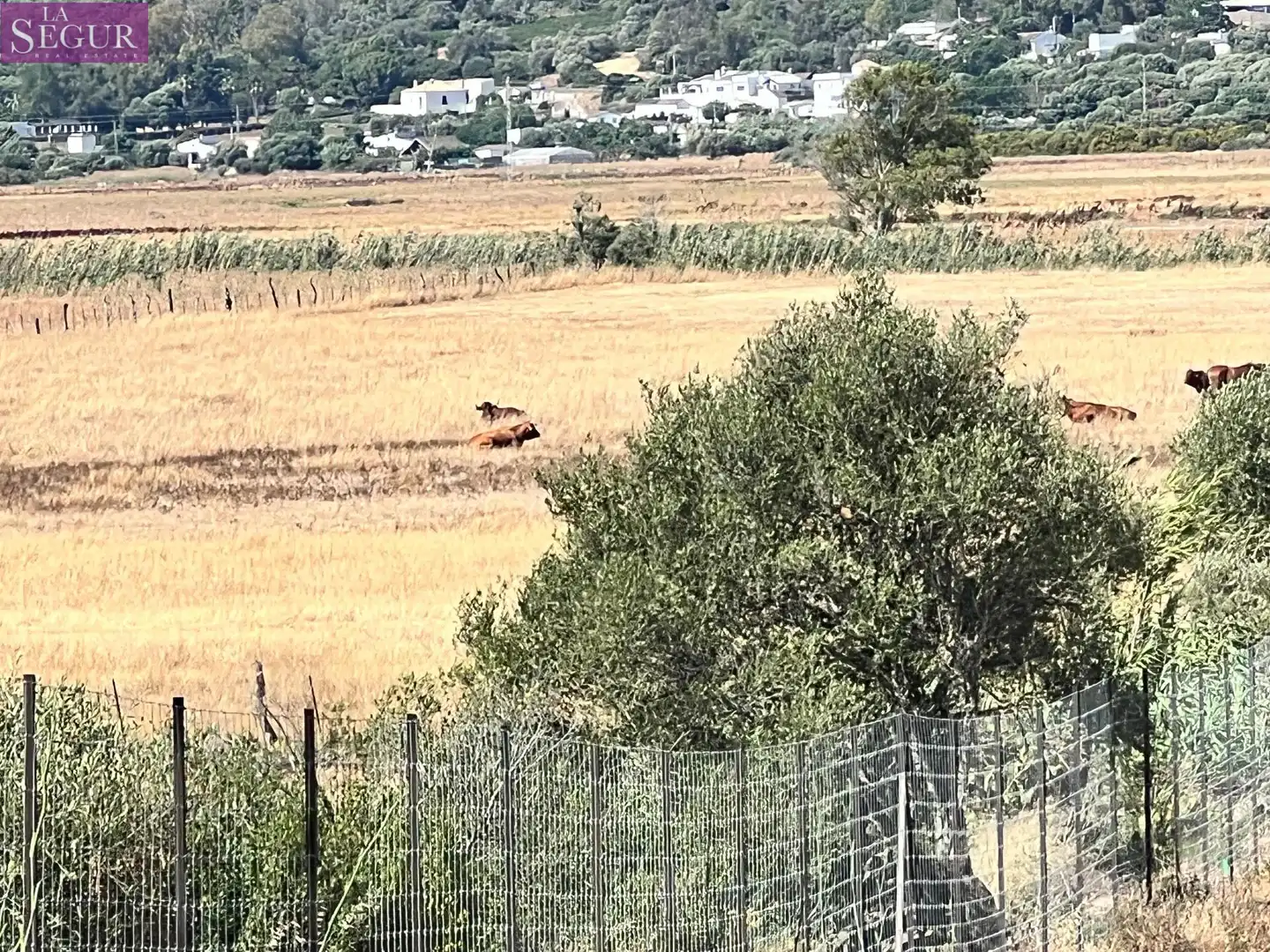 Terreno rustico in vendita a Barbate ciudad