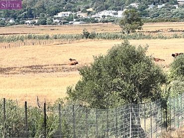 Rustikales Grundstück zum Verkauf in Barbate ciudad
