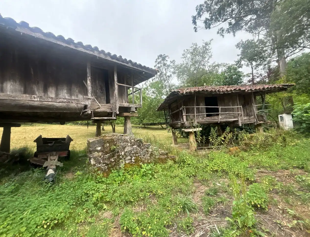 Vista exterior de Finca rústica en venda en Gijón  amb Jardí privat