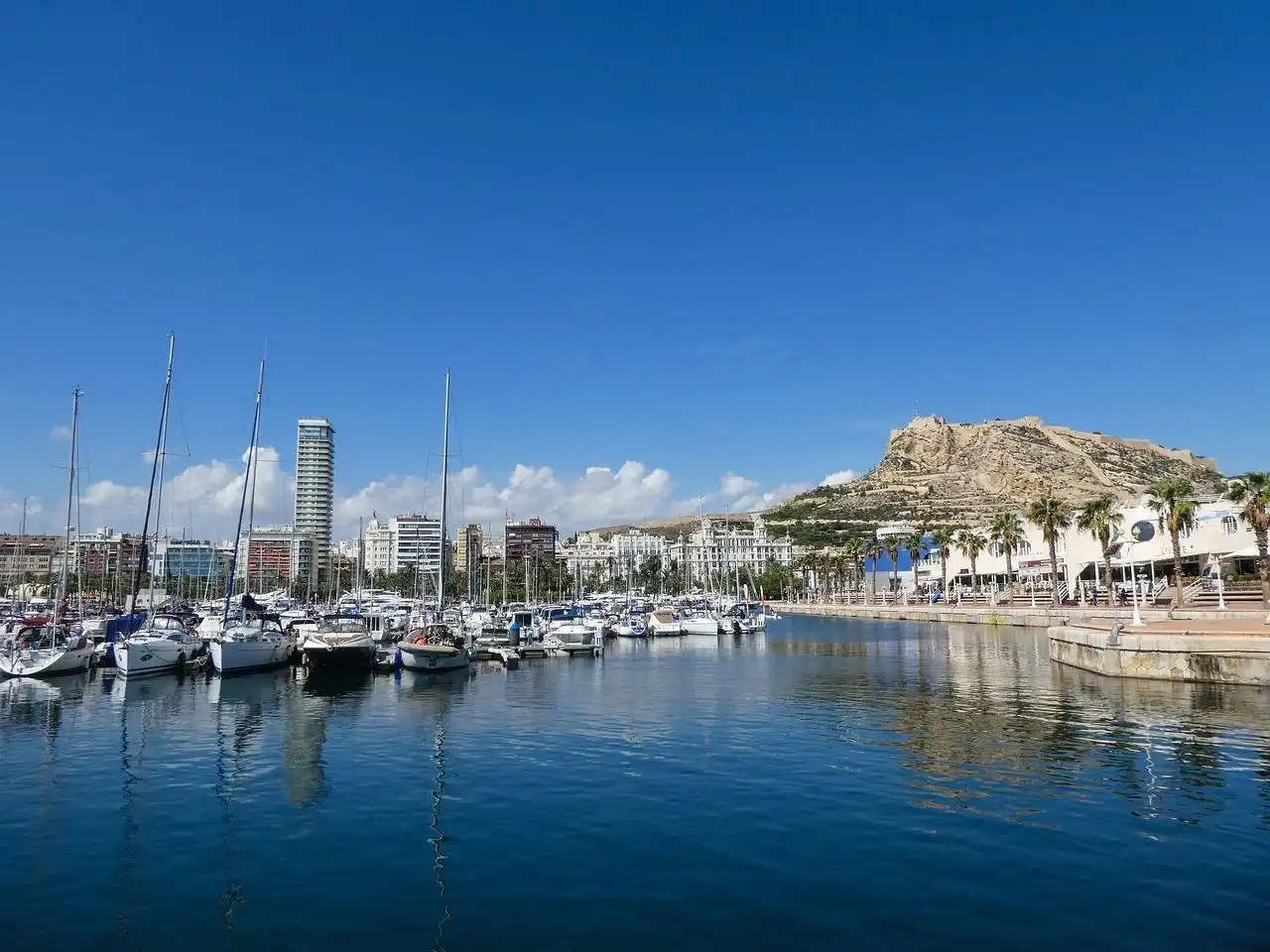 Vista exterior de Local en venda en Alicante / Alacant