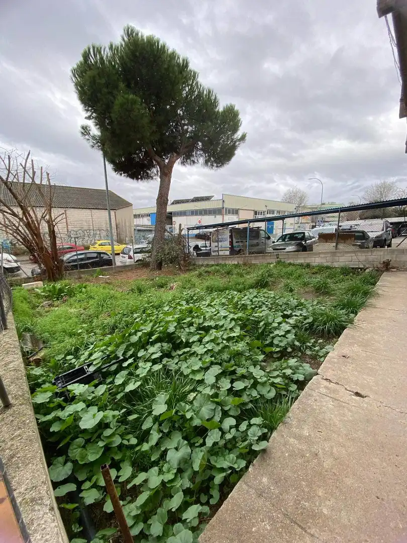 Nave industrielle à vendre à Barrio de la Estación, imagen 69