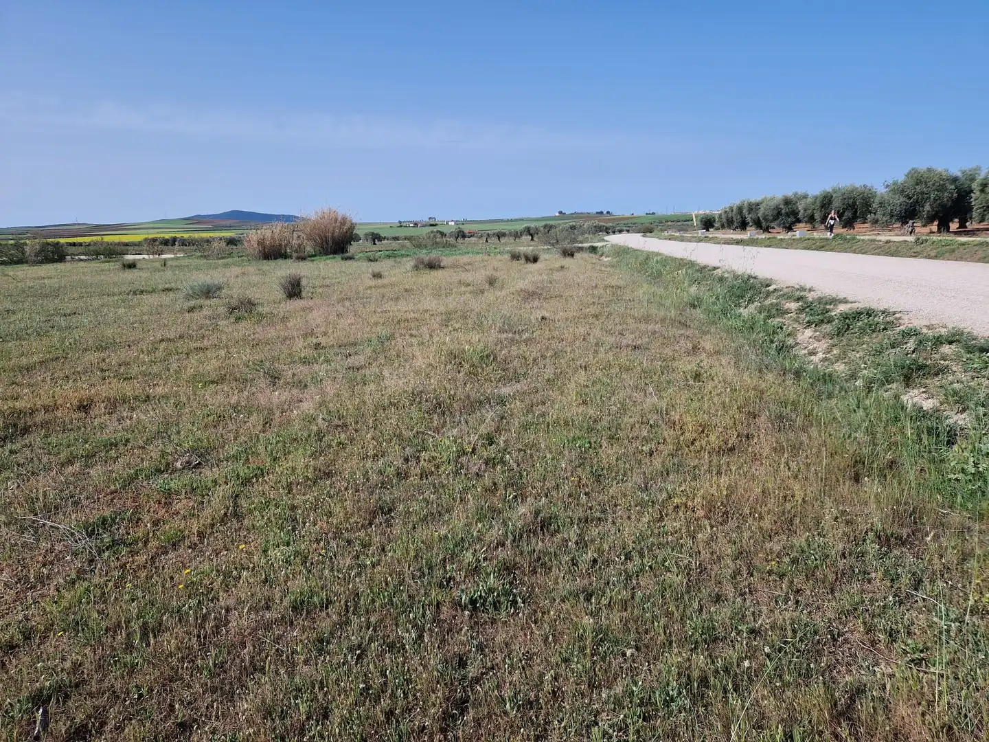 Terreno residencial en venta en Don Benito, imagen 3