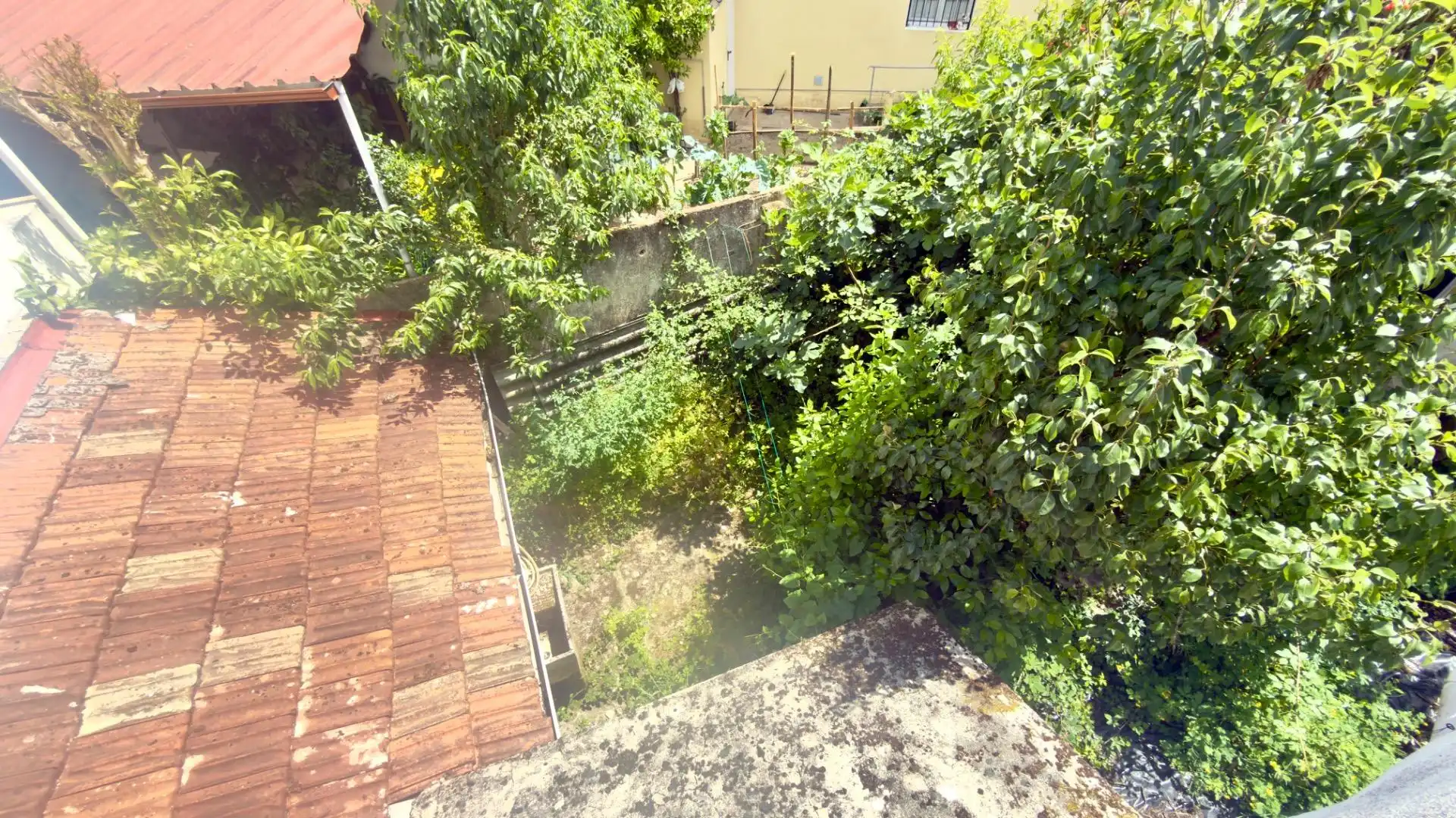 Garten von Gebäude zum Verkauf in O Carballiño  