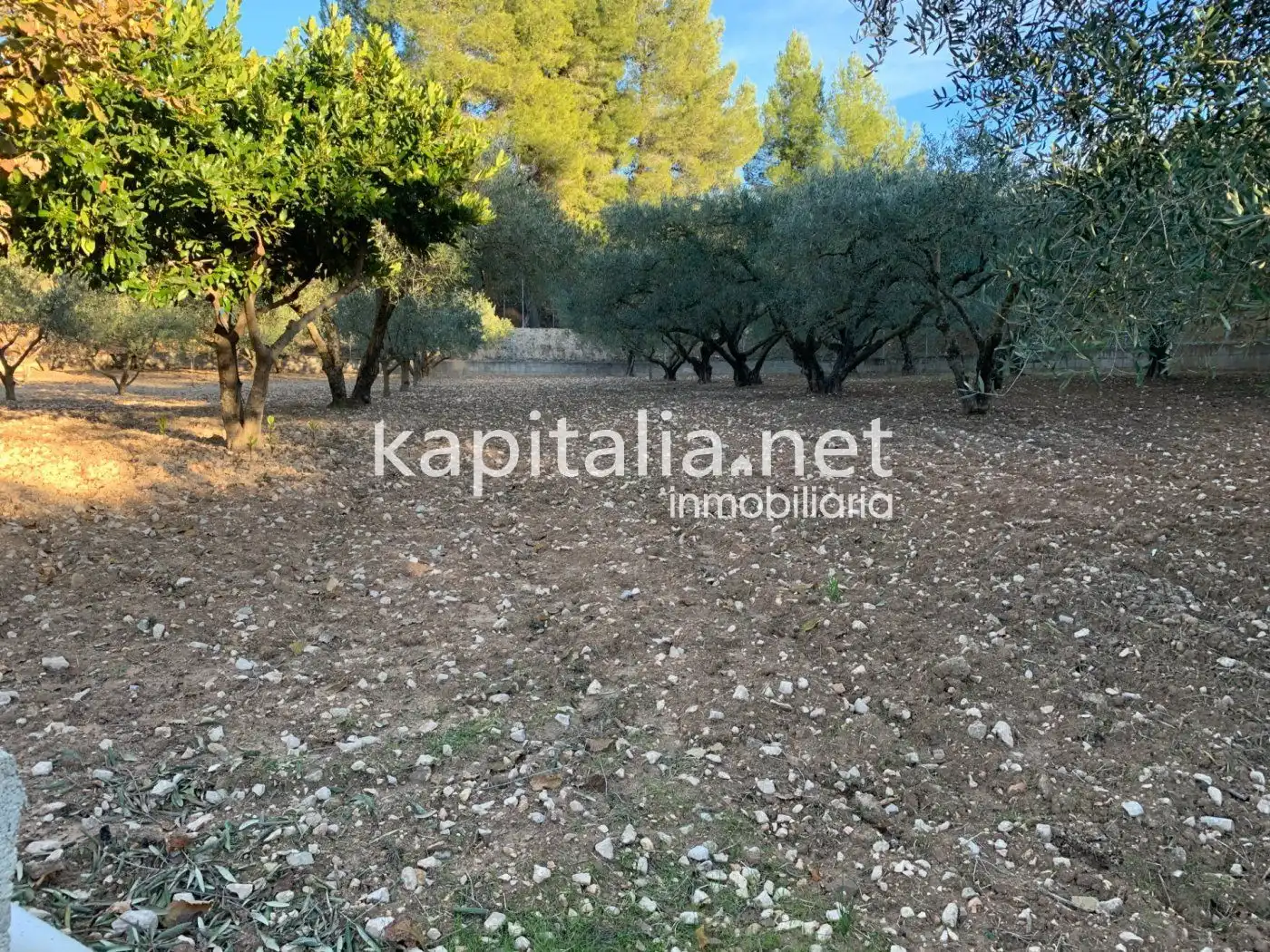 Detached house with pool for sale in El Llombo, imagen 28