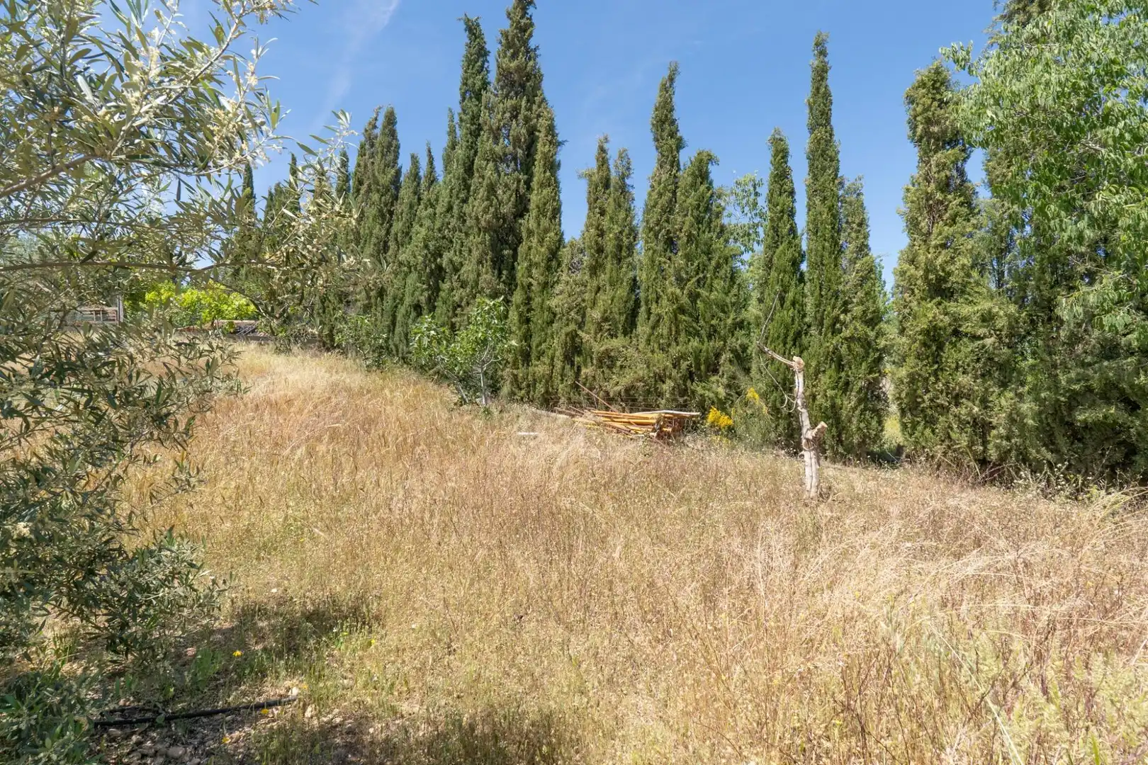 Casa o xalet en venda a Moraleda de Zafayona