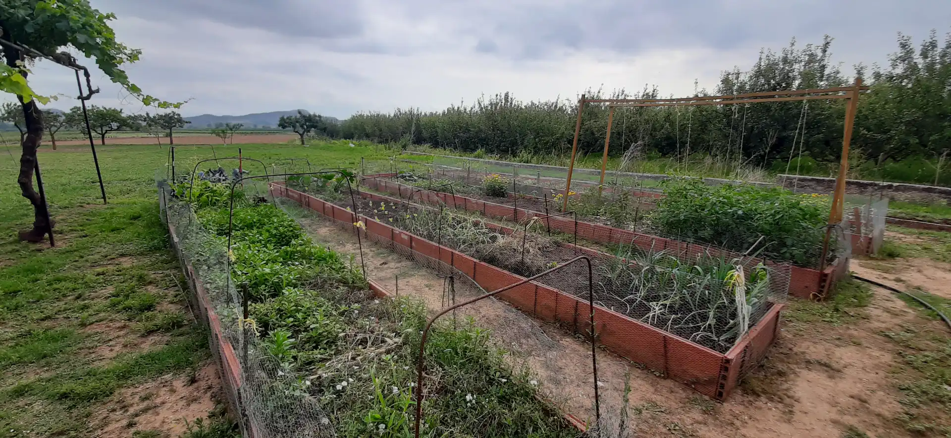 Jardí de Casa o xalet en venda en Entrena amb Jardí privat i Traster