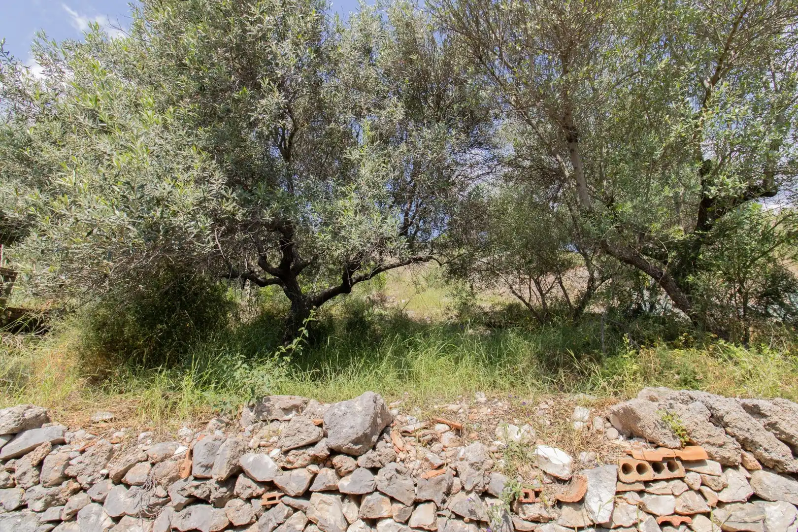 Finca rústica en venda en Sumacàrcer amb Terrassa