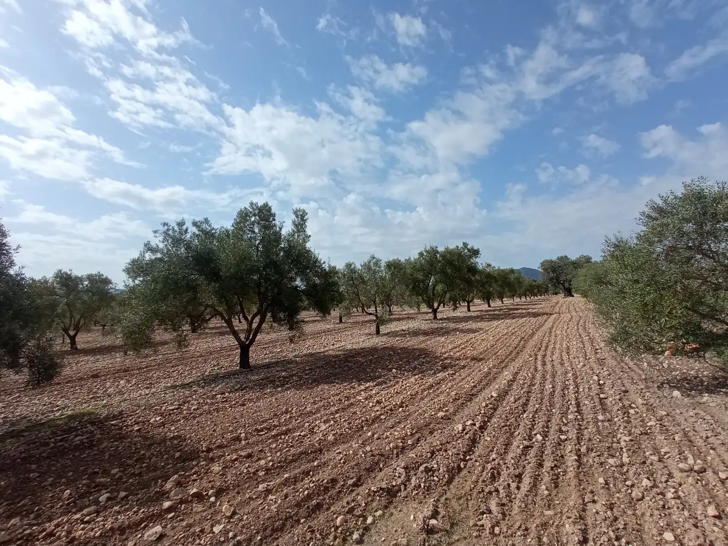 Terreno residenziale in vendita a Salinas, imagen 2