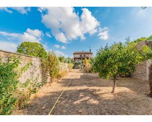 Jardí de Casa o xalet en venda en Santa Maria d'Oló amb Jardí privat i Terrassa