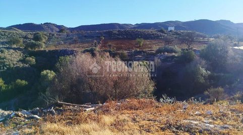 Terrenos en venta en Bédar