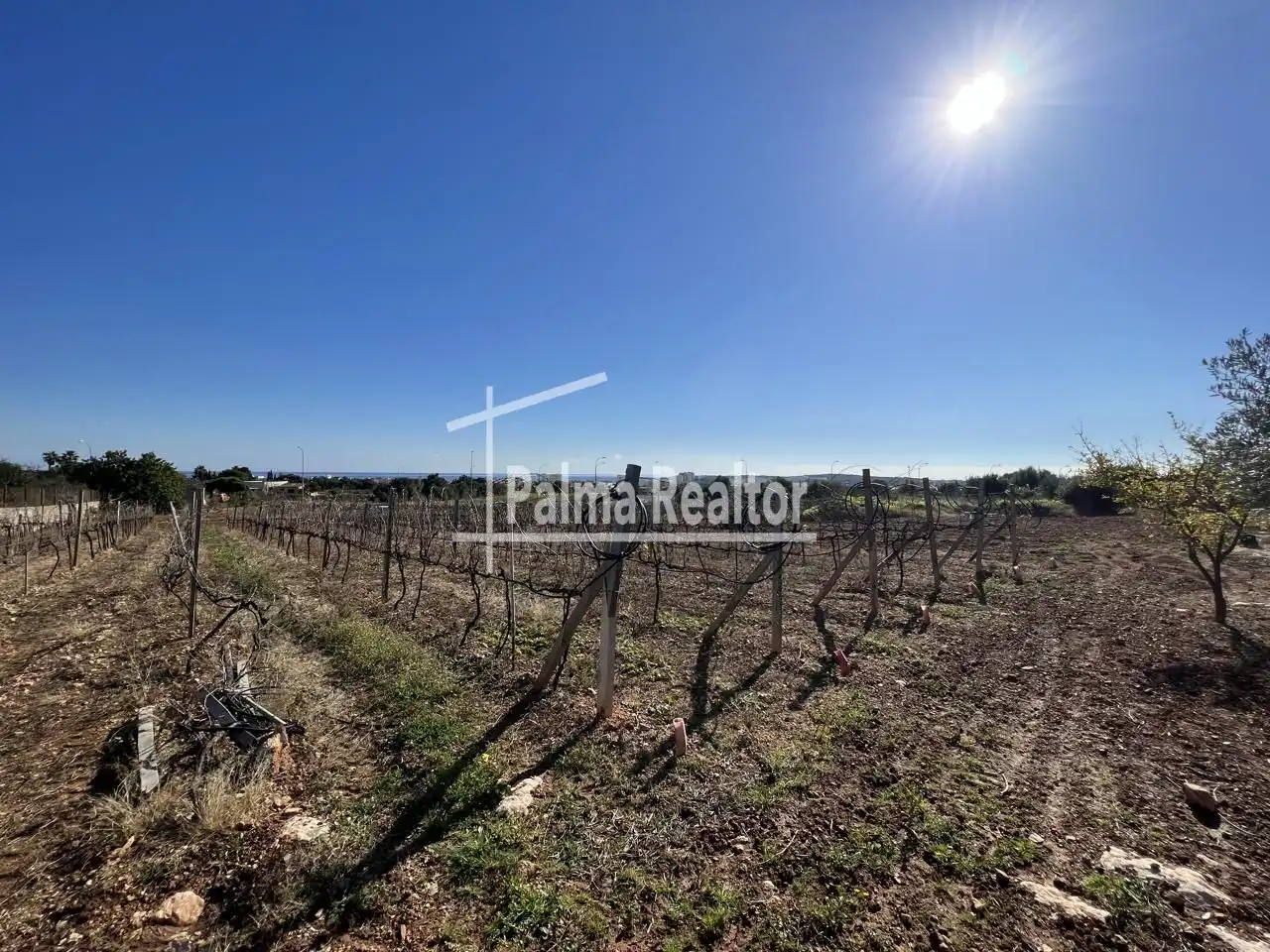 Residential for sale in Son Servera