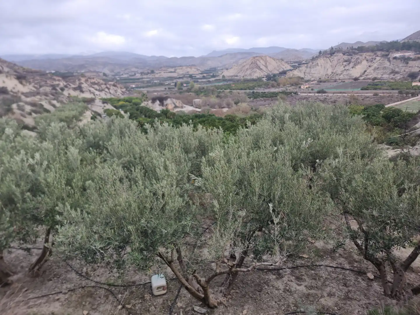 Rural land for sale in Calle Camino Ancho 4, imagen 32