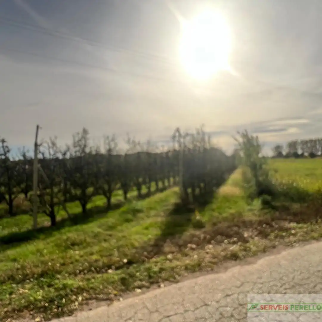 Terrenos y solares en venta en Golmés, imagen 8