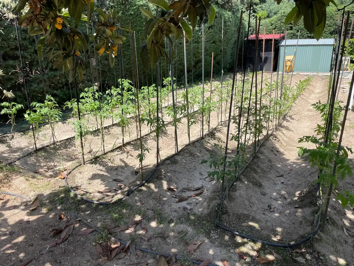 Casa o xalet en venda en Galapagar amb Aire condicionat, Calefacció i Jardí privat