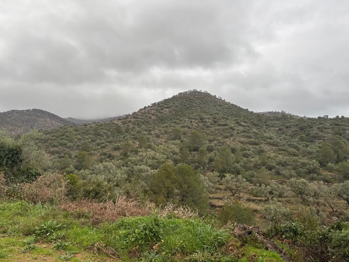 Casa rústica en venta en Alfara de Carles, imagen 2