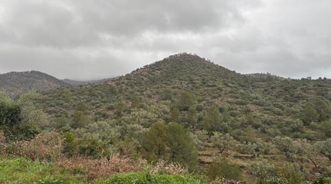 Foto 2 de Finca rústica en venta en Alfara de Carles, Tarragona