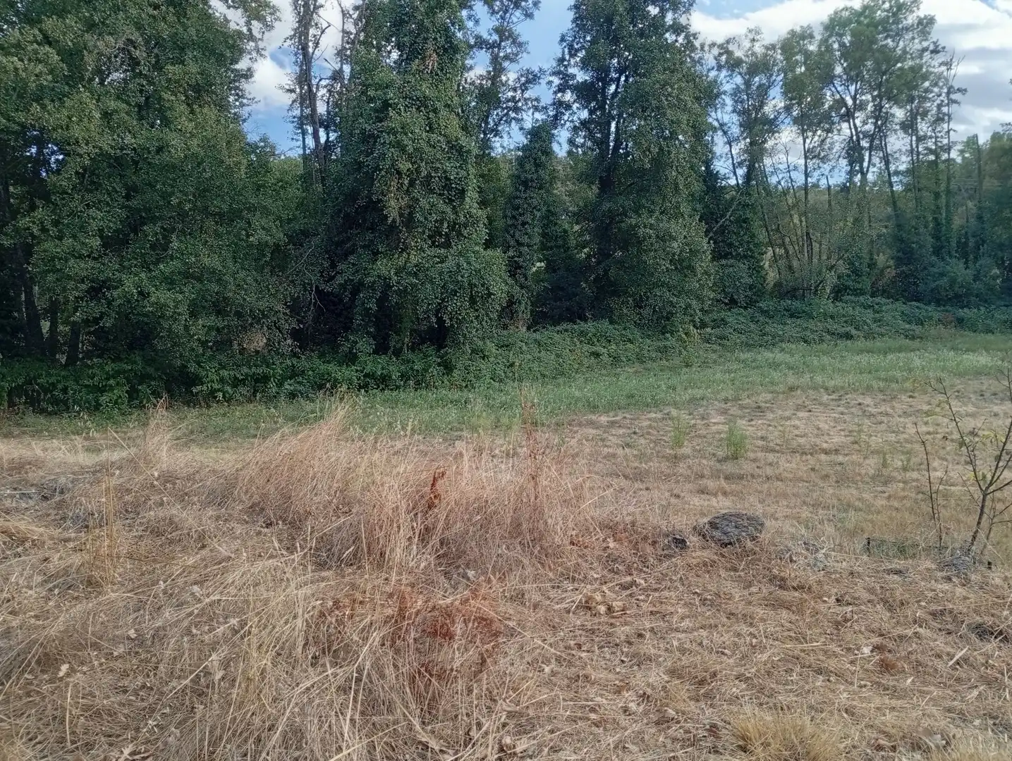 Terreni e lotti in vendita a Villanueva de la Vera, imagen 56