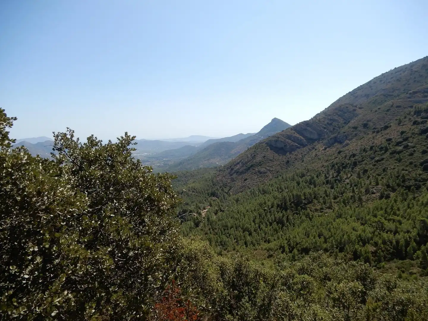 Land for sale in Benigembla