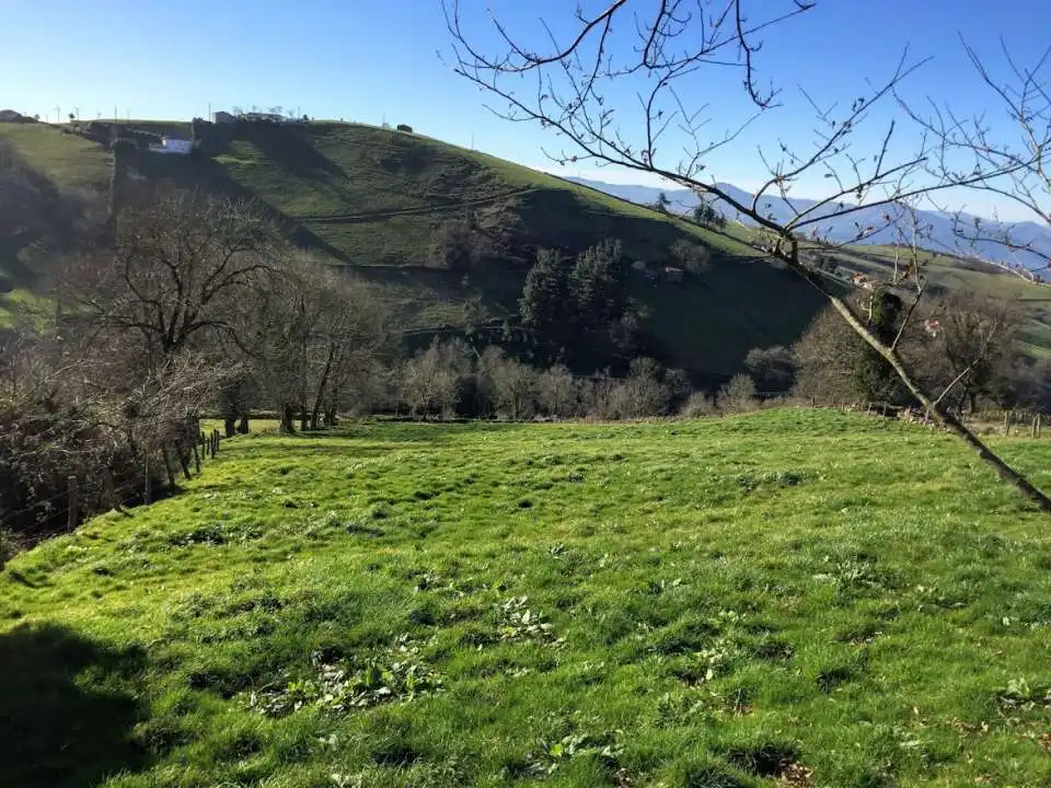 Vista exterior de Casa o xalet en venda en Tineo amb Jardí privat i Traster