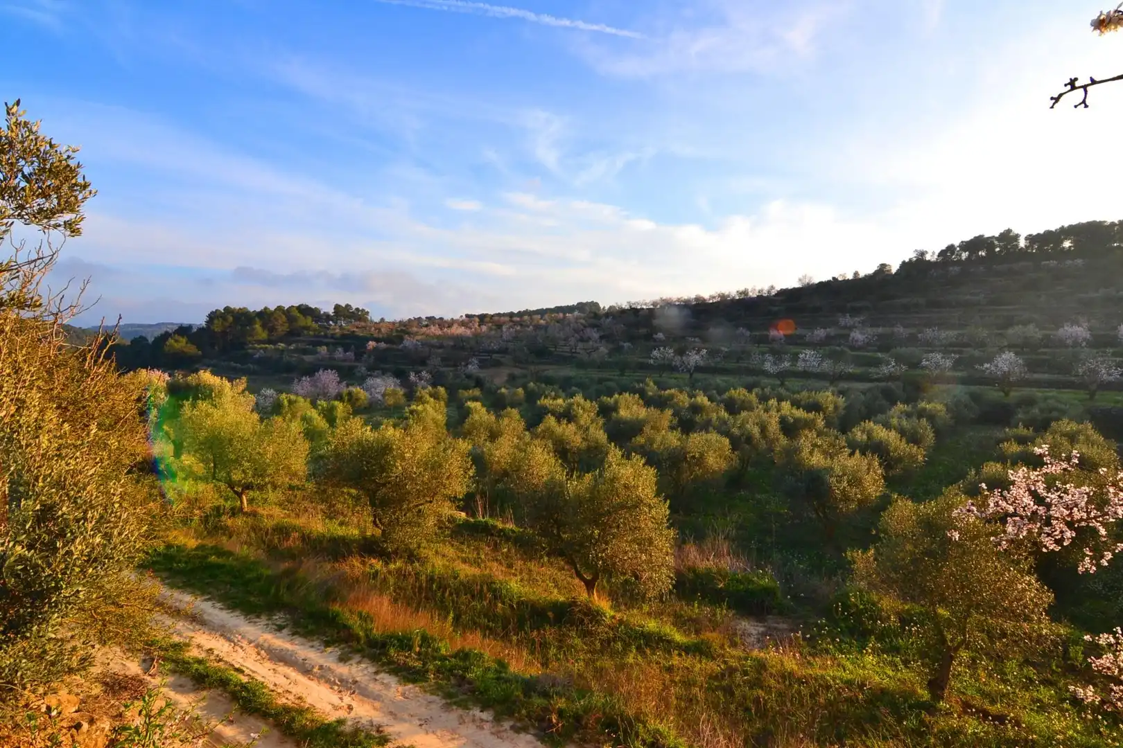 Rural land for sale in Corbera d'Ebre, imagen 86