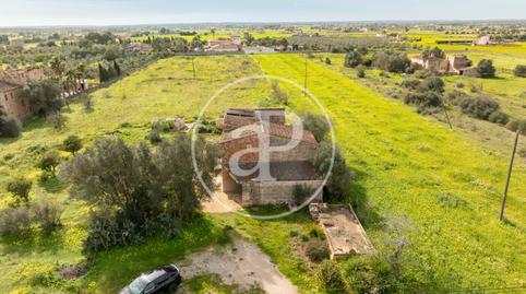 Foto 3 de Finca rústica en venda a Son Rego, Zona Rústica - Interior, Campos