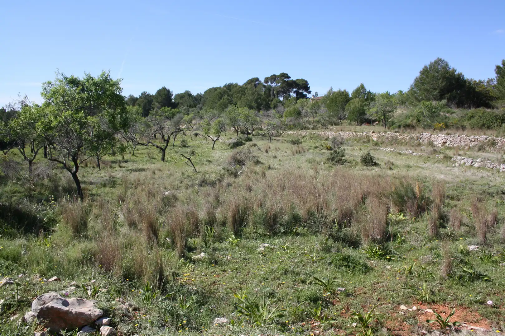 Casa en venta en Benissa pueblo, imagen 25