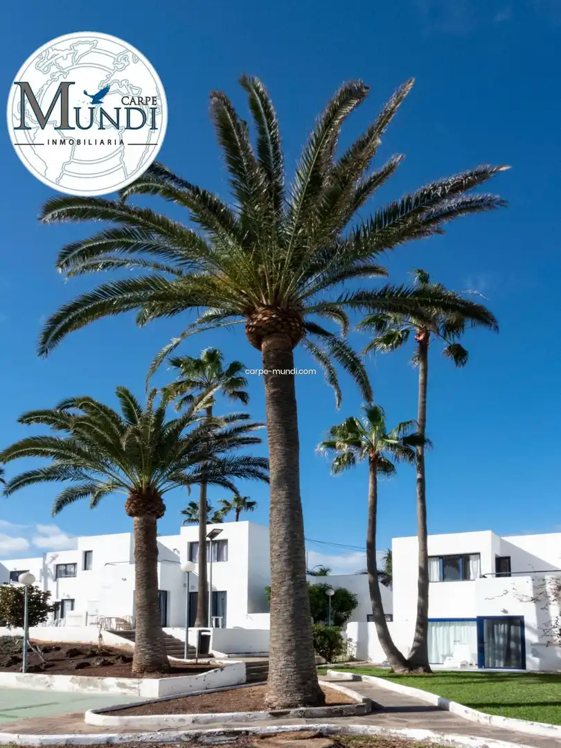 Vista exterior de Apartament en venda en La Oliva amb Terrassa i Piscina comunitària