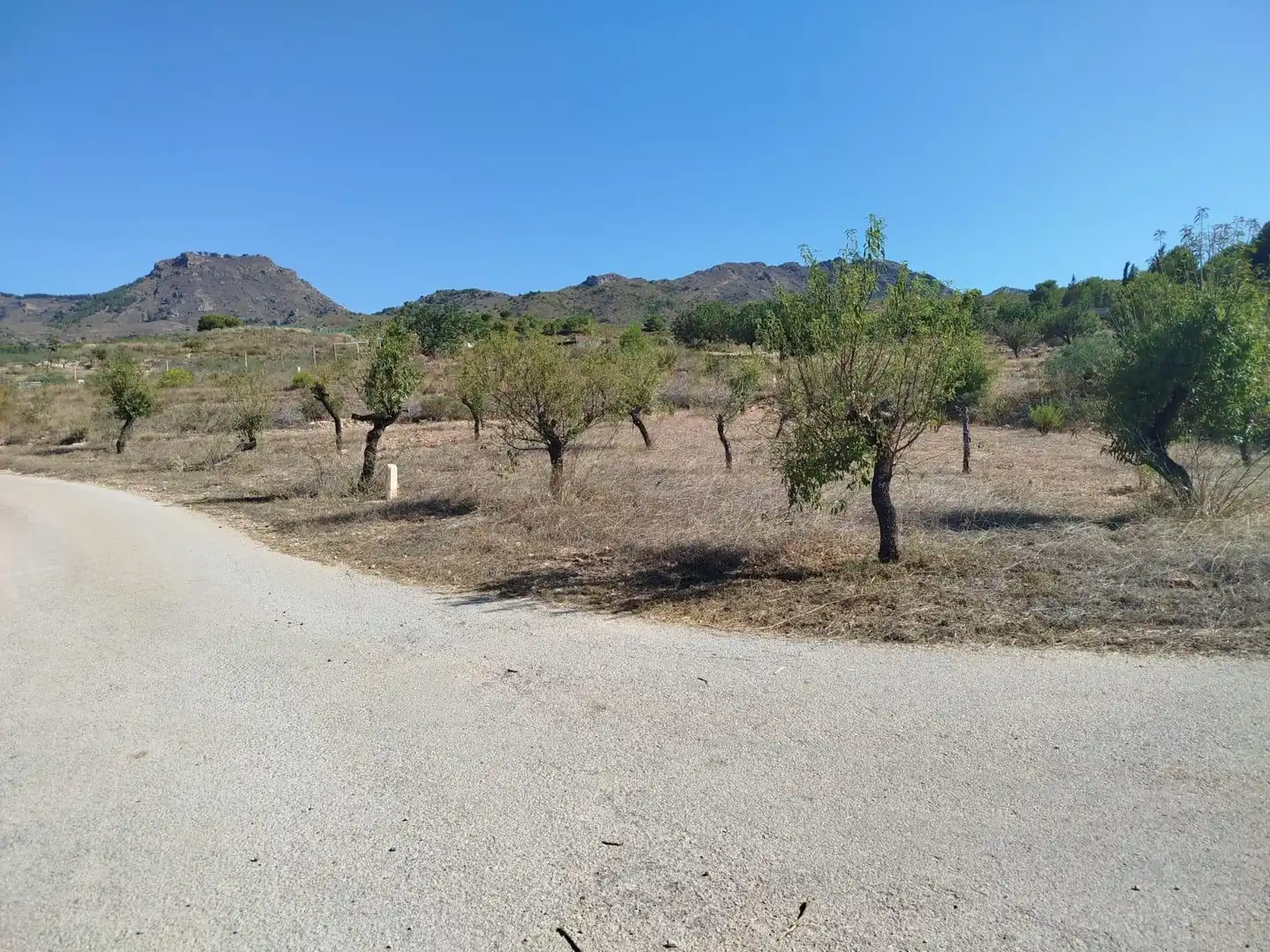 Terreno rústico en venta en Pedanías Oeste, imagen 4