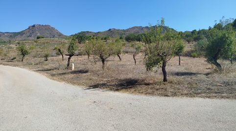 PARCELA RUSTICA  EN CANTERASCARTAGENA., imagen 4