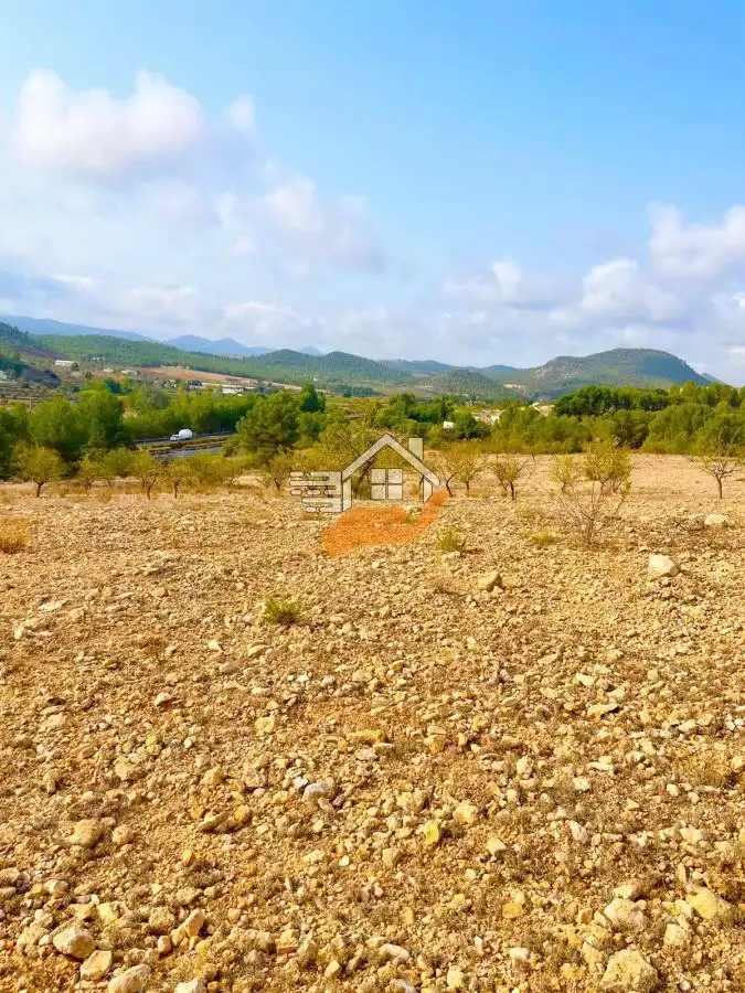 Terreny residencial en venda a Vélez-Rubio, imagen 5
