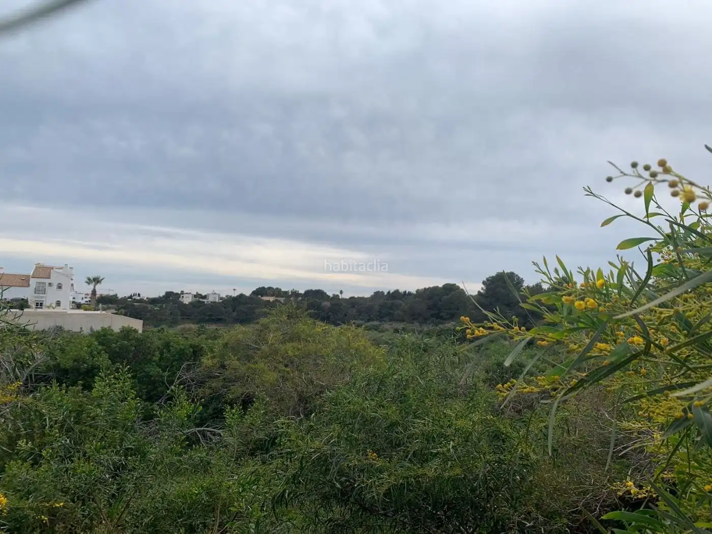 Terreno rustico in vendita a Avenida Galgos 50, imagen 8