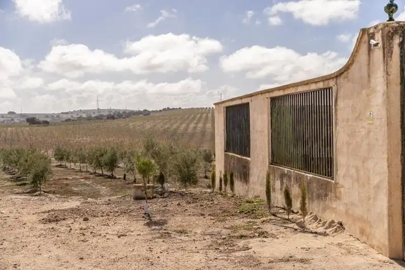 Land for sale in Alamedilla