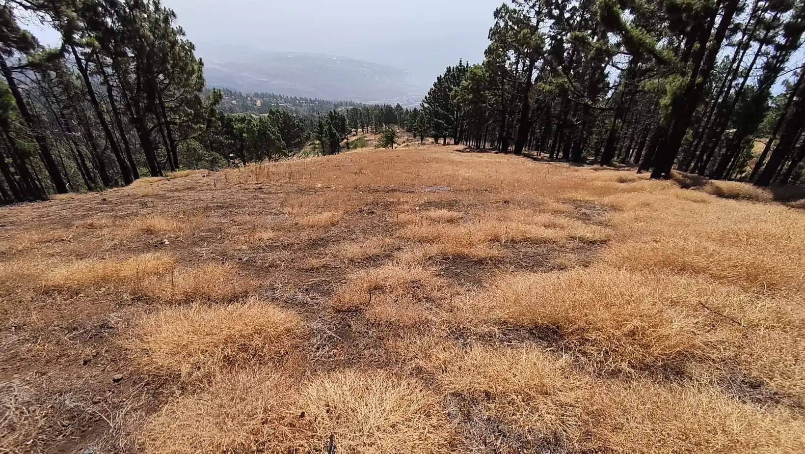Rural land for sale in Machado - Las Barreras, imagen 4
