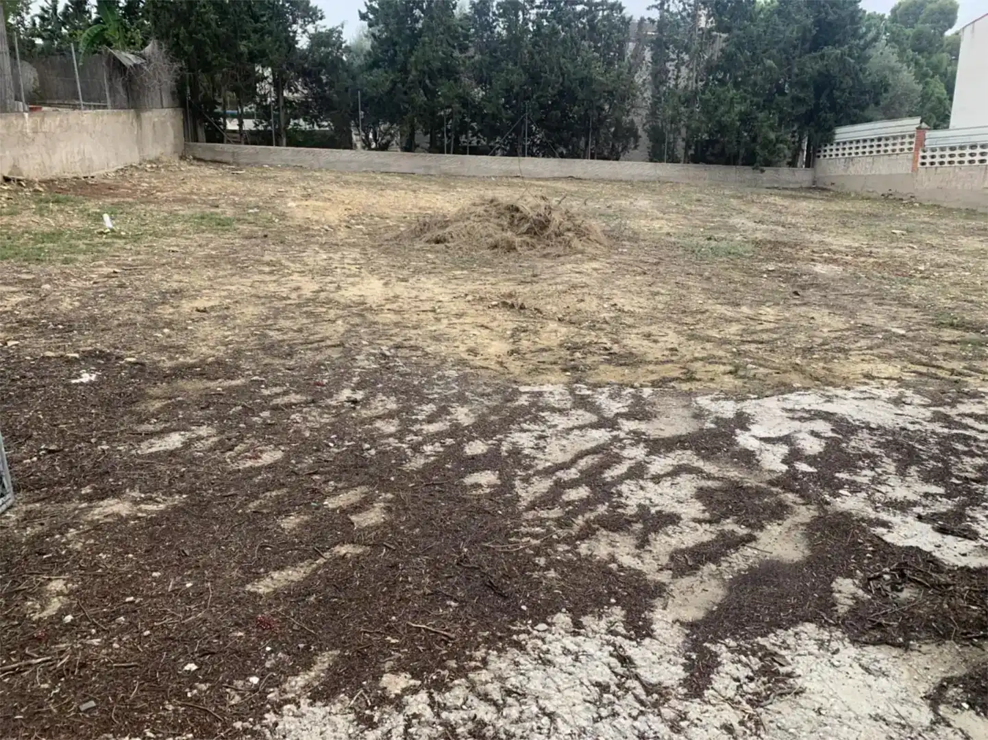 Planta baixa en venda en Casco Urbano