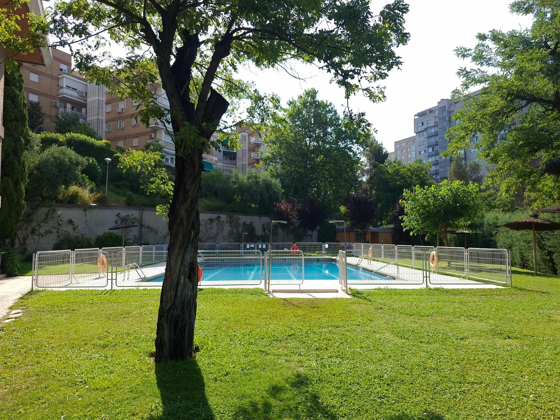 Piscina de Pis en venda en  Madrid Capital amb Calefacció, Jardí privat i Terrassa